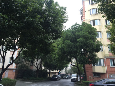 ���K�^ ͩ����· �滨�@